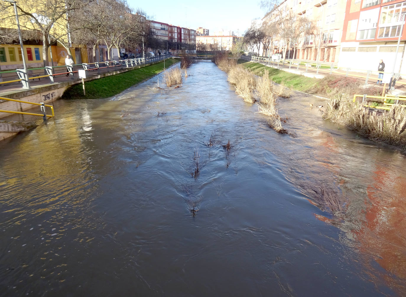 El Esgueva, con el agua invadiendo el paseo aledaño al cauce.