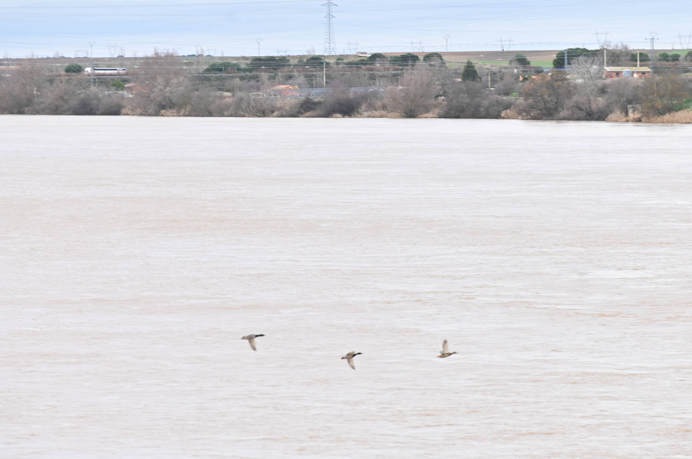 El río Duero a su paso por Tordesillas.