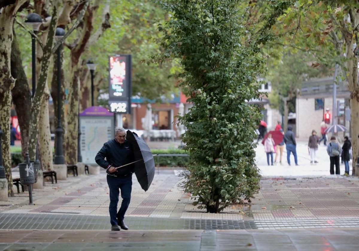 Viento en el Paseo Zorrilla durante un temporal anterior.