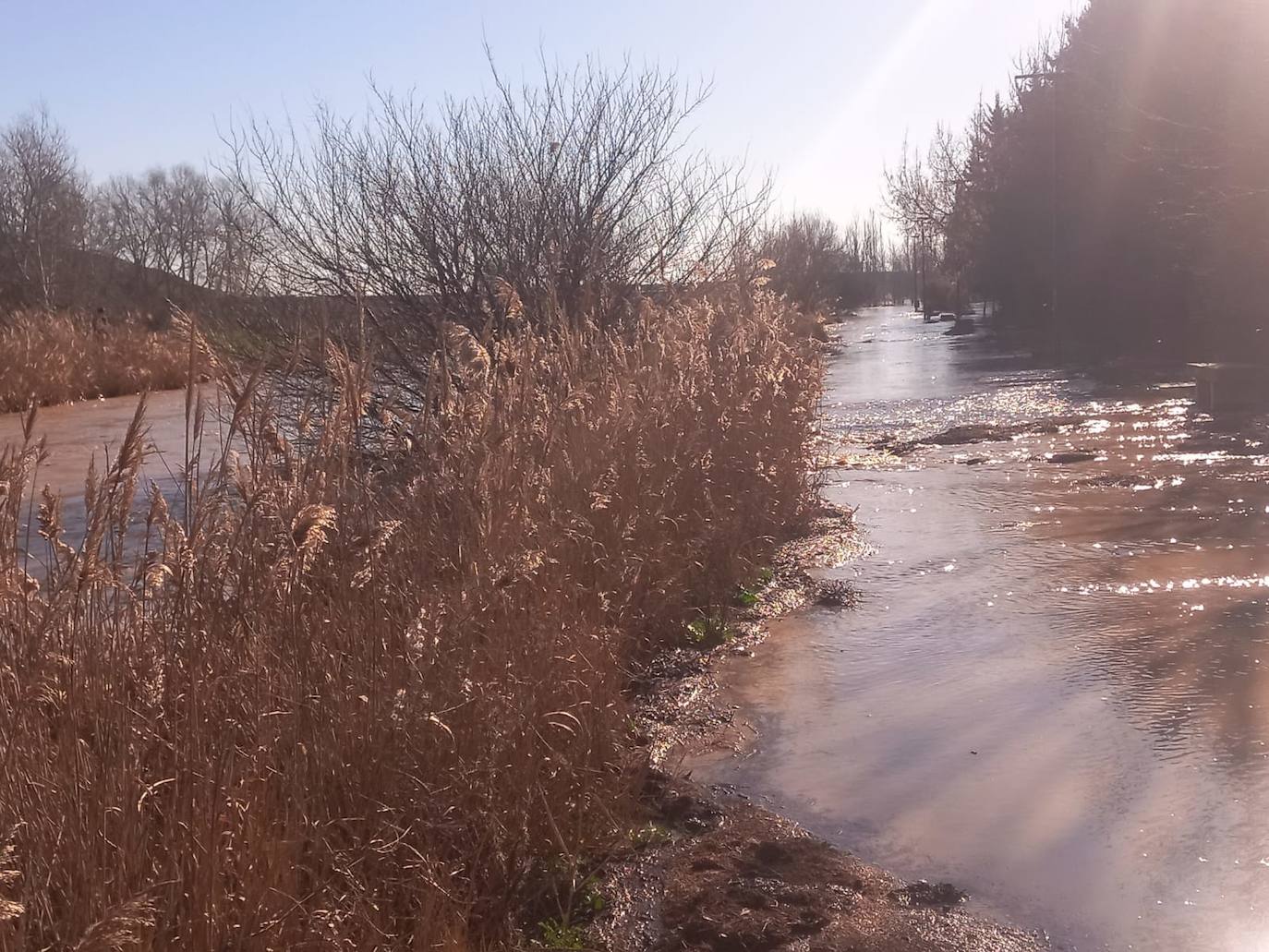 Crecida del río Zapardiel en Medina del Campo