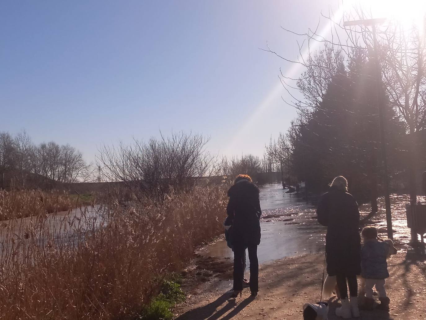 Crecida del río Zapardiel en Medina del Campo