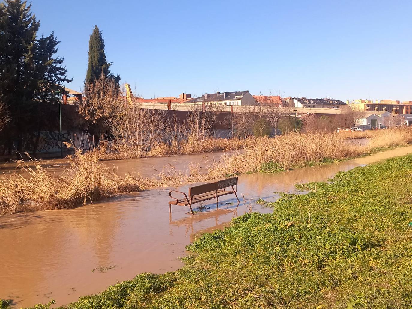 Crecida del río Zapardiel en Medina del Campo