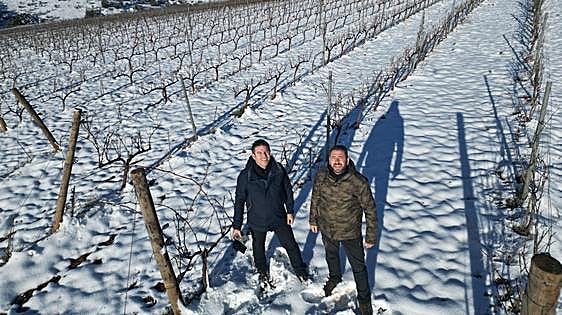 La nieve cubre los viñedos más altos de la Ribera del Duero