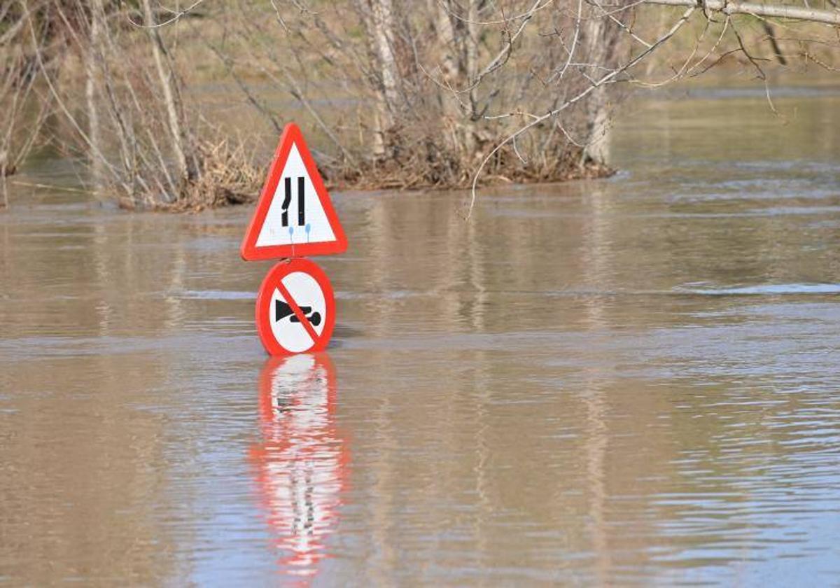 Río Cega desbordado este domingo a su paso por Viana.