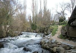 El Eresma, en la zona de la Senda de los Molinos.