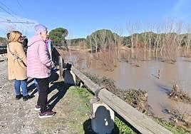 Vecinas de Viana contemplan, este domingo, la crecida del Cega que obligó a desalojar a varias familias.