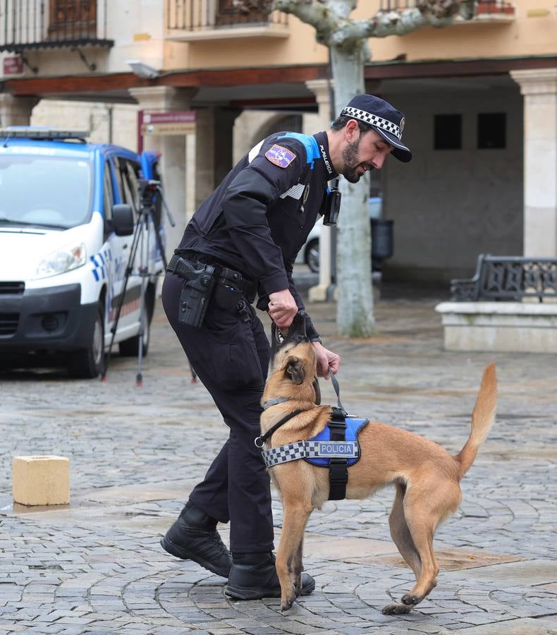 Palencia estrena la Unidad Canina con tres perros policía