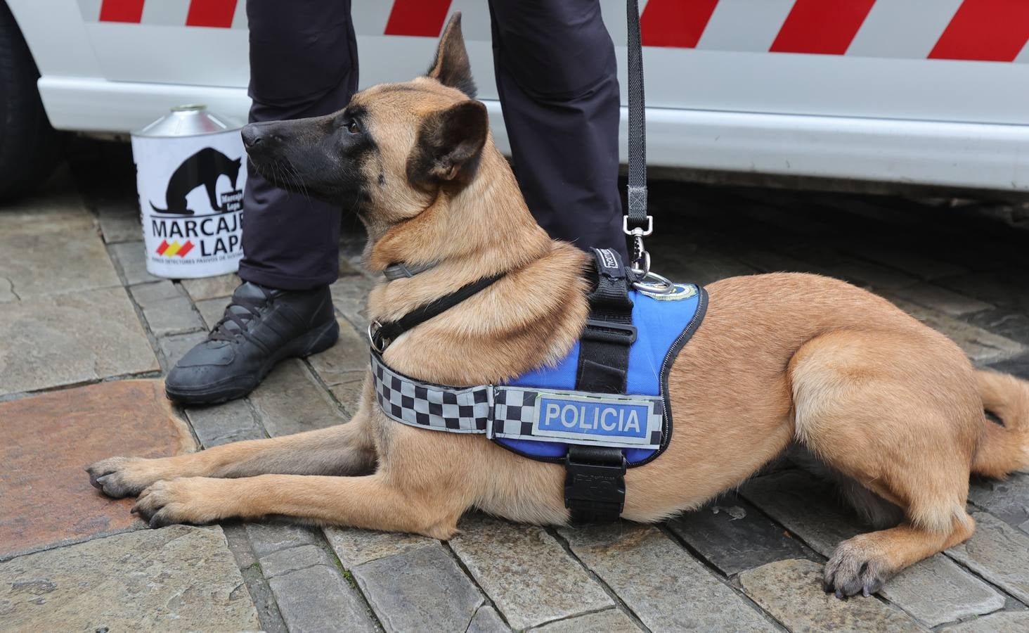 Palencia estrena la Unidad Canina con tres perros policía