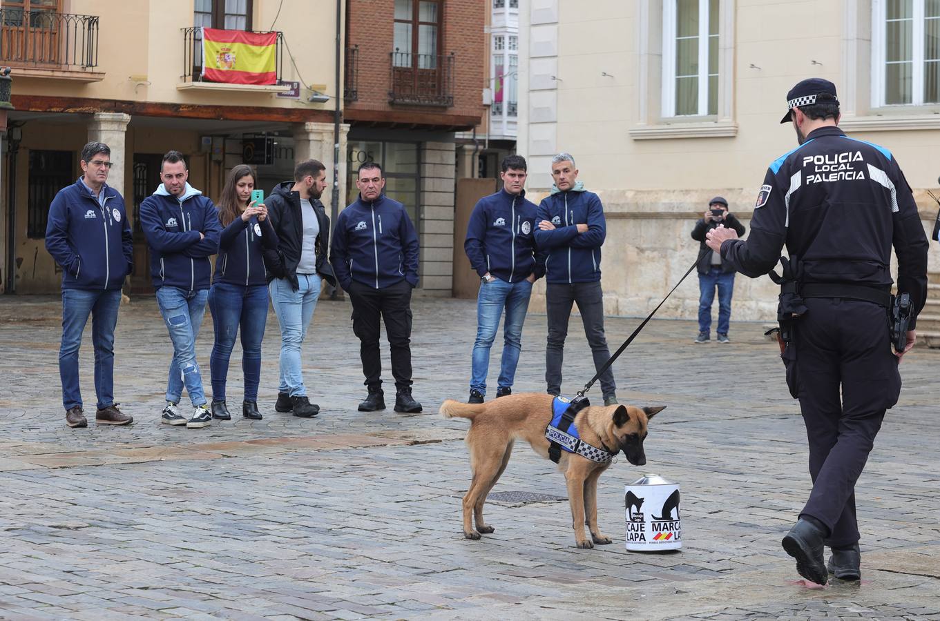 Palencia estrena la Unidad Canina con tres perros policía