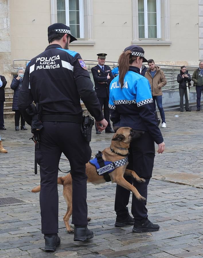 Palencia estrena la Unidad Canina con tres perros policía