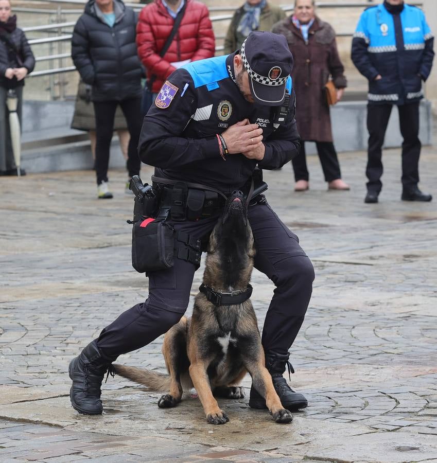 Palencia estrena la Unidad Canina con tres perros policía