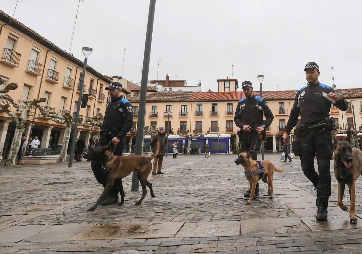 Palencia estrena la Unidad Canina con tres perros policía