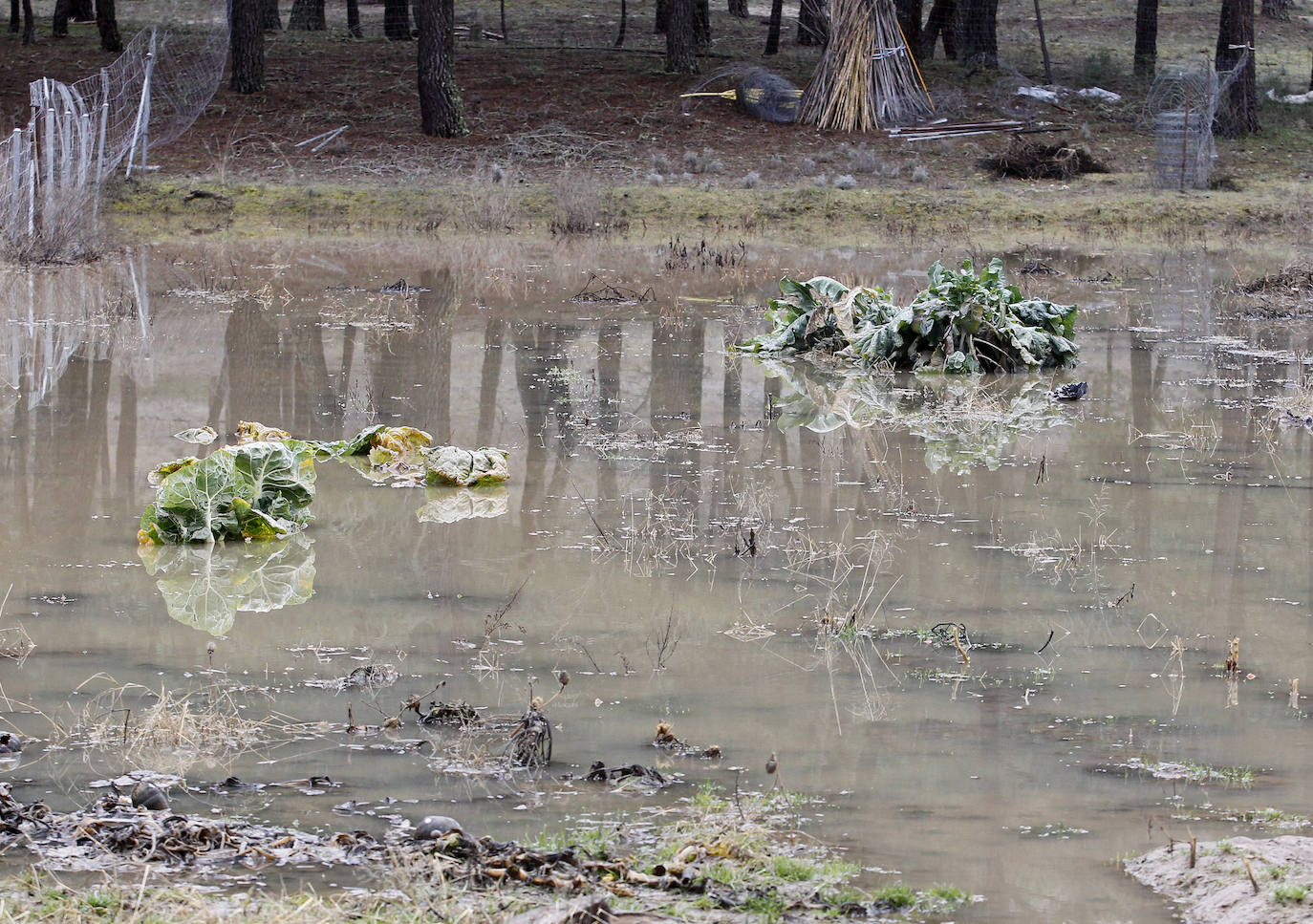 Inundaciones por el desembalse de Burgomillodo