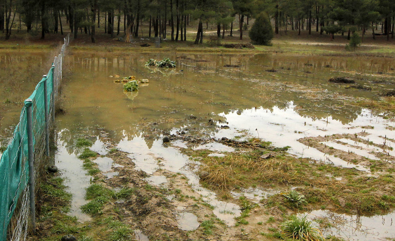 Inundaciones por el desembalse de Burgomillodo