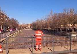 El río Zapardiel, hace unos días a su paso por Medina del Campo.