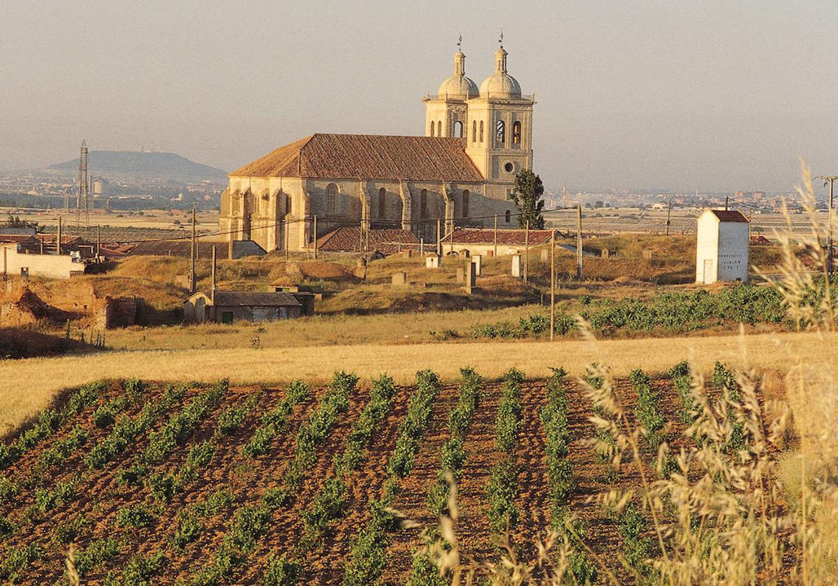 Viñedos de Cigales, con Valladolid al fondo.