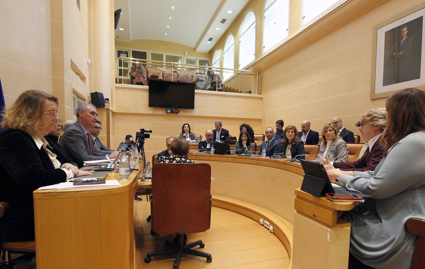 Pleno de enero del Ayuntamiento de Segovia