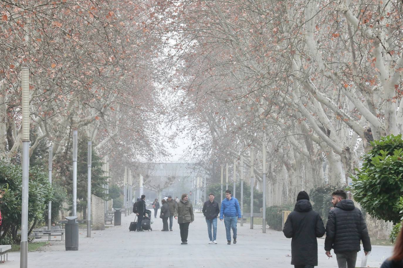 Acera de Recoletos de Valladolid