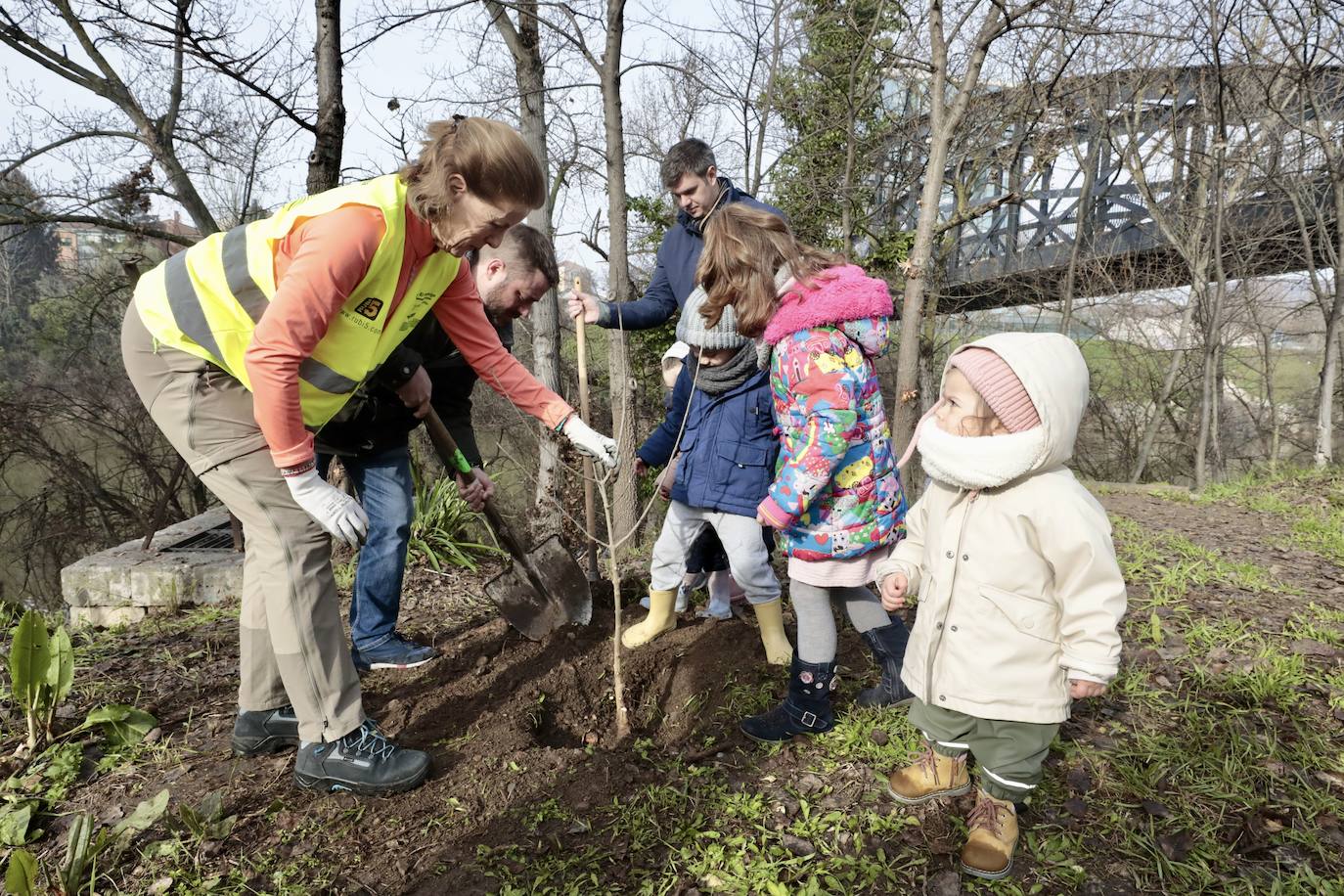 Las imágenes de la reforestación en la ribera del Pisuerga