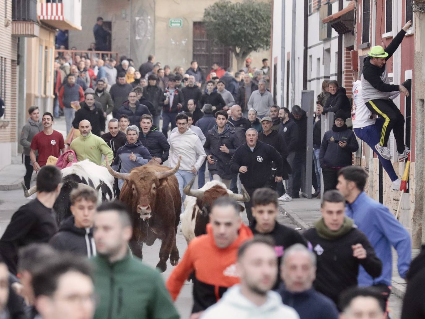 Encierro del toro del Arrope en Siete Iglesias de Trabancos