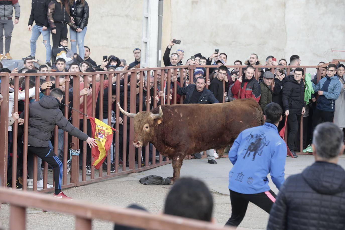 Encierro del toro del Arrope en Siete Iglesias de Trabancos