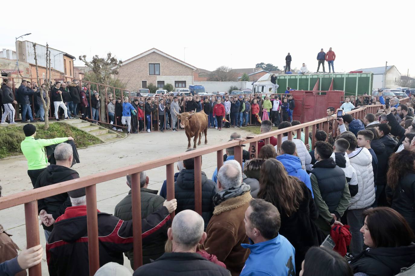 Encierro del toro del Arrope en Siete Iglesias de Trabancos