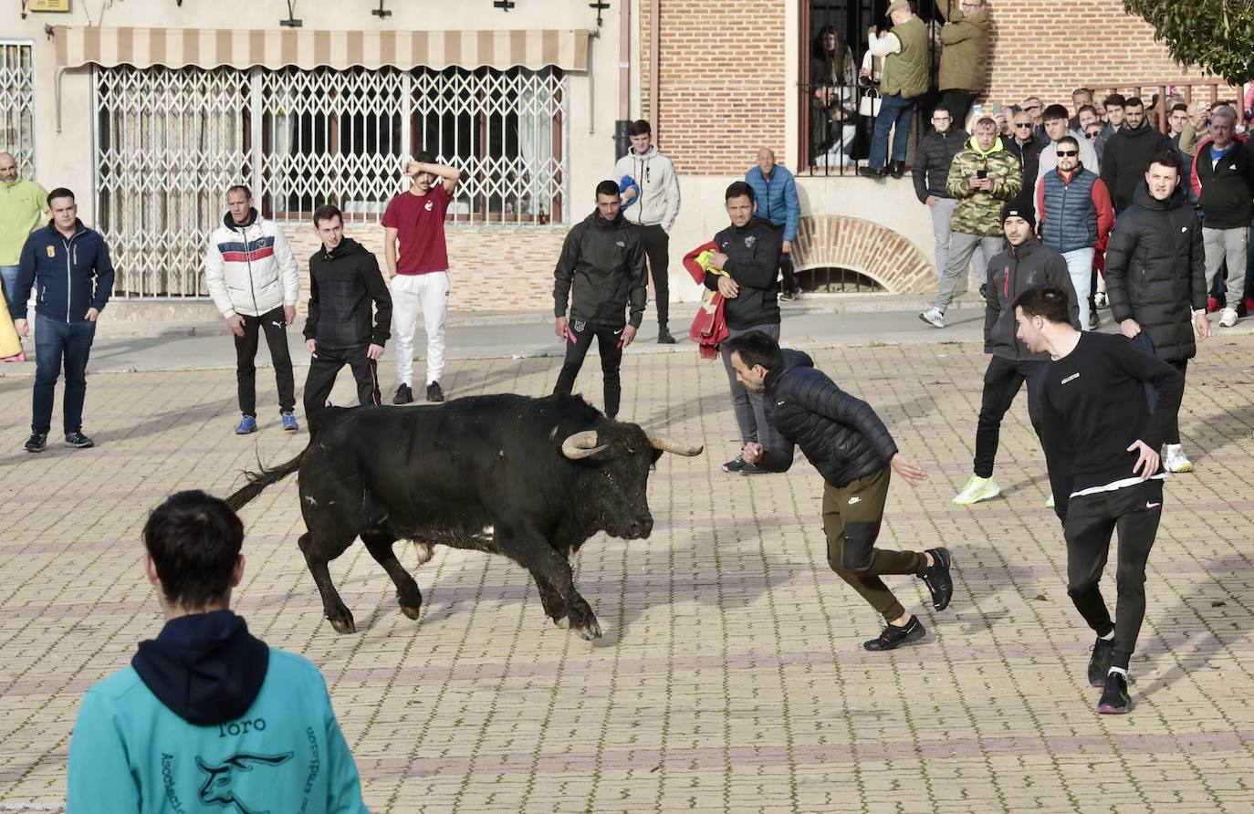 Encierro del toro del Arrope en Siete Iglesias de Trabancos