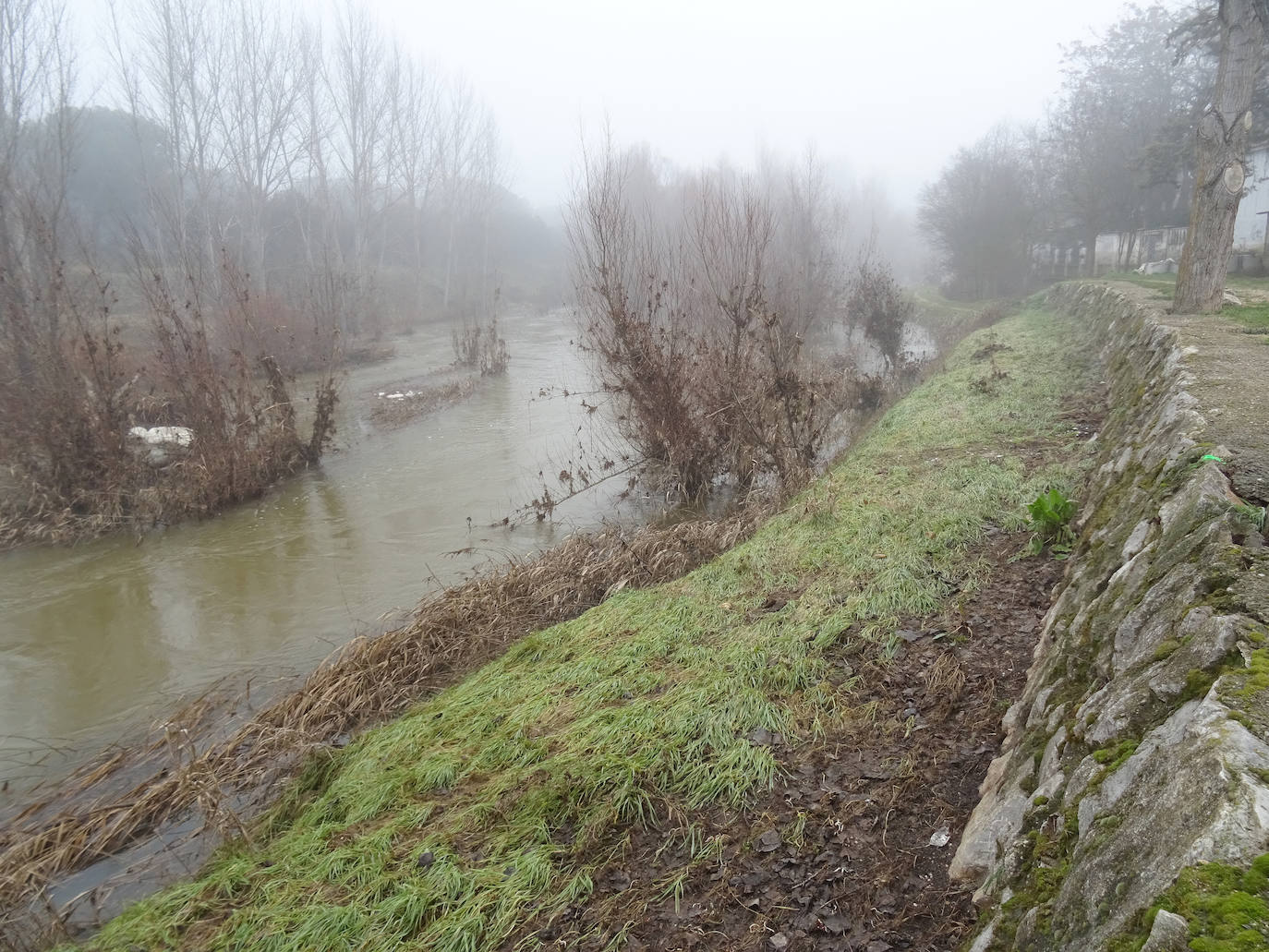 Las imágenes de los daños en Viana de Cega tras la crecida del río hace una semana