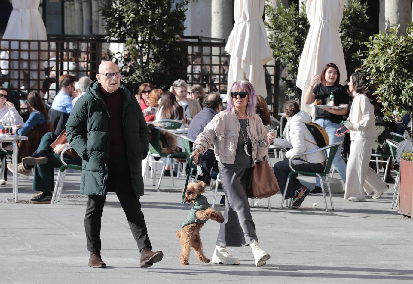 Las imágenes con las terrazas a rebosar en la Plaza Mayor