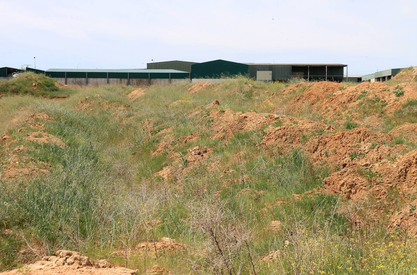 Terreno donde se construirá el depósito. Al fondo, las instalaciones de la planta de Los Huertos.