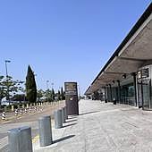 Binter mantendrá sus vuelos desde Valladolid a Canarias