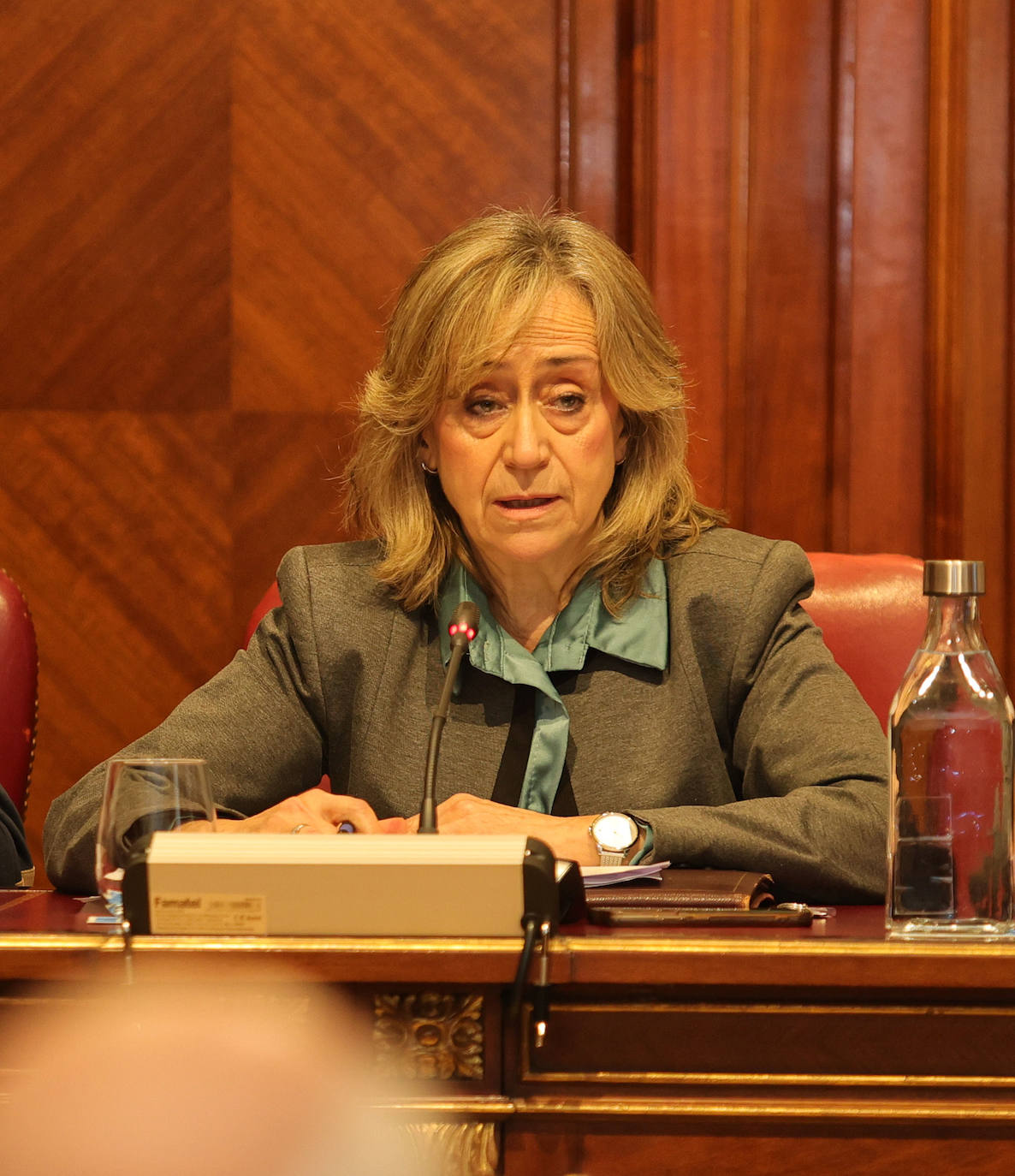 La Diputación de Palencia celebra el primer pleno ordinario del año