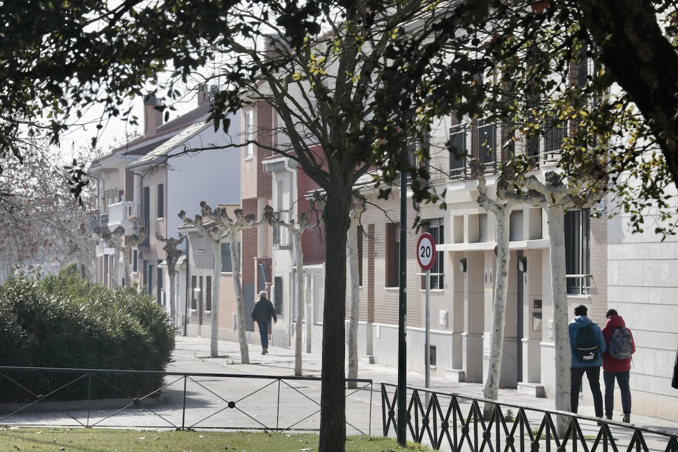 Un paseo, en imágenes, por la Cañada Real