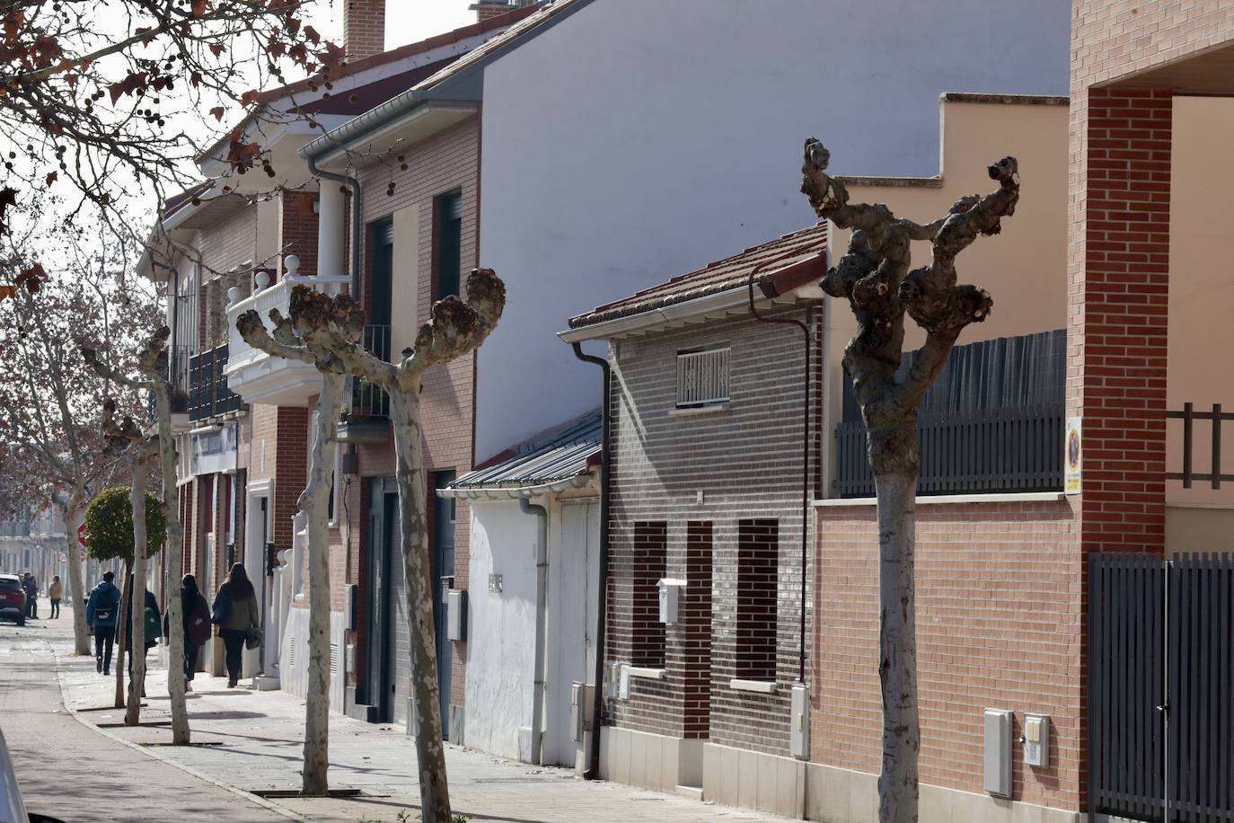 Un paseo, en imágenes, por la Cañada Real
