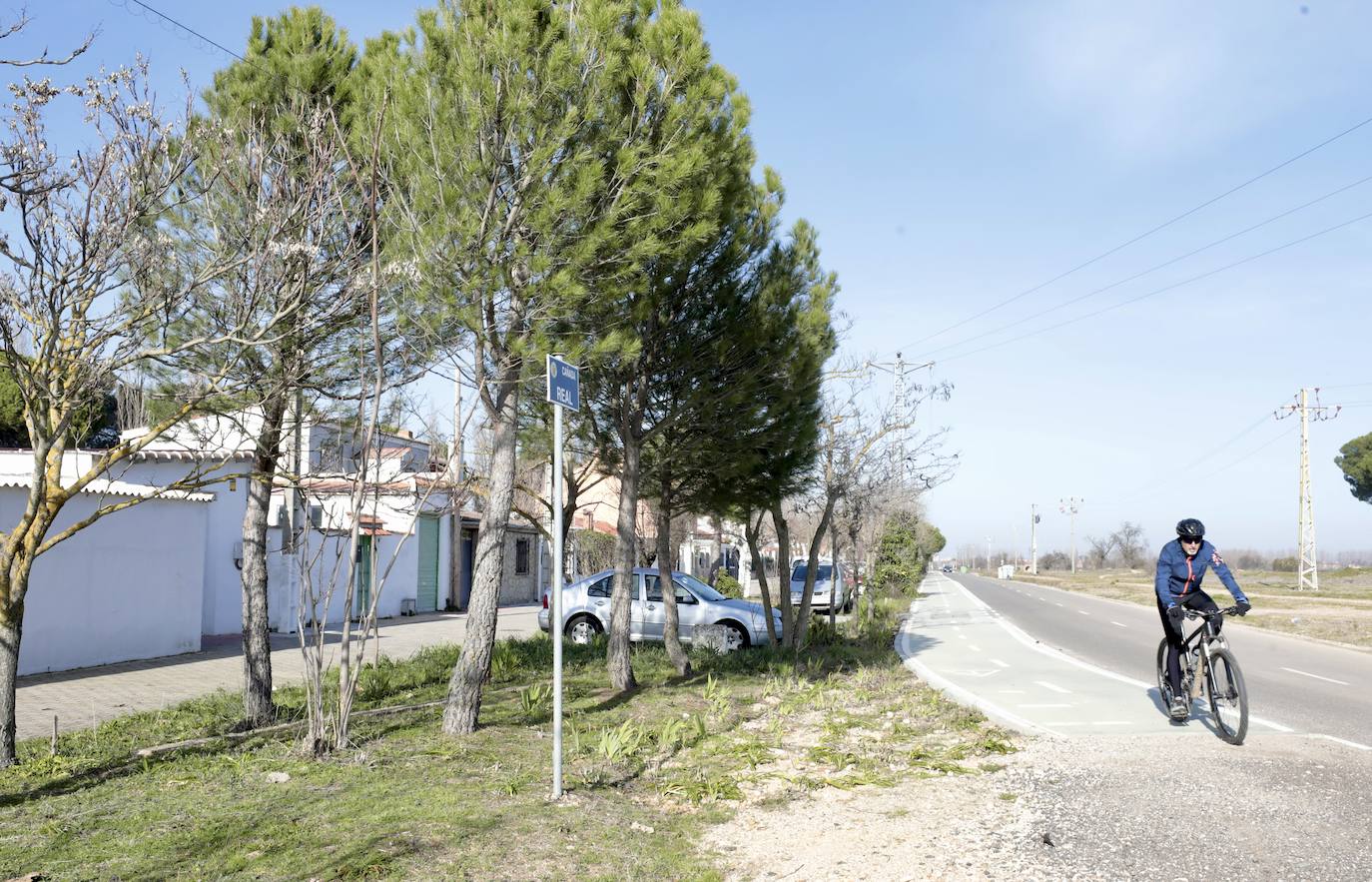 Un paseo, en imágenes, por la Cañada Real