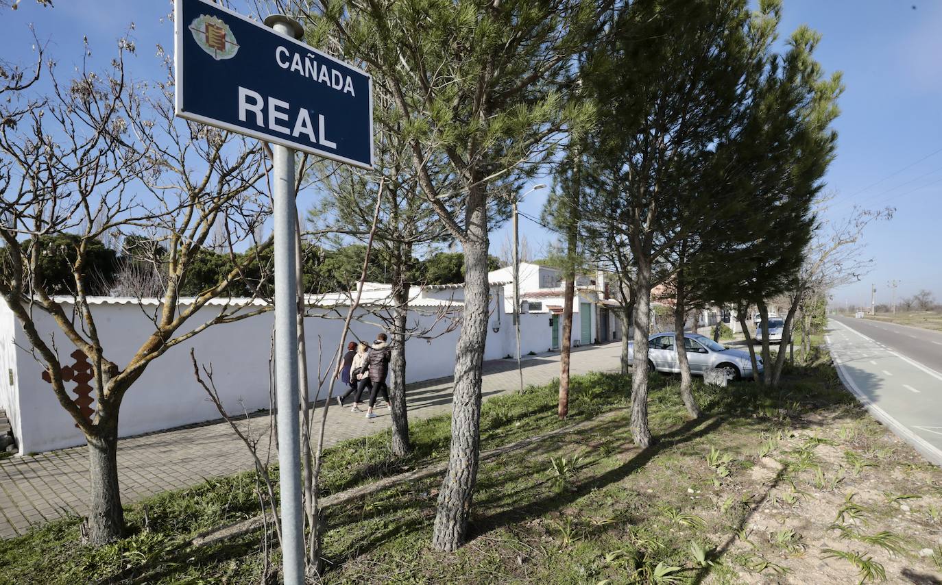 Un paseo, en imágenes, por la Cañada Real