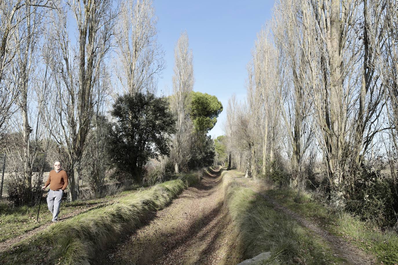 Un paseo, en imágenes, por la Cañada Real
