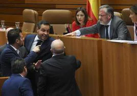 Momento de tensión en uno de los últimos plenos del año pasado entre el popular Raúl de la Hoz e Igea.