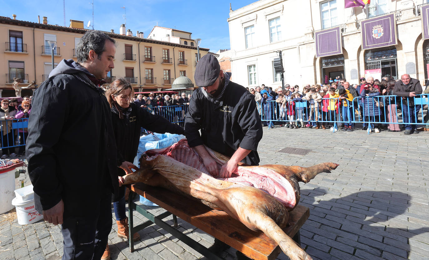 La fiesta popular de las Candelas se vive en la Plaza Mayor