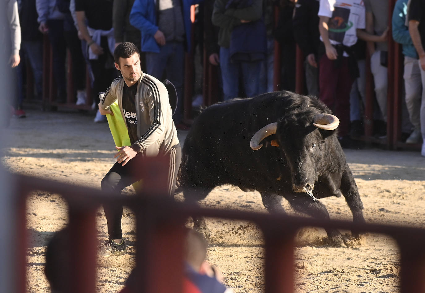 El encierro de Viana de Cega, en imágenes