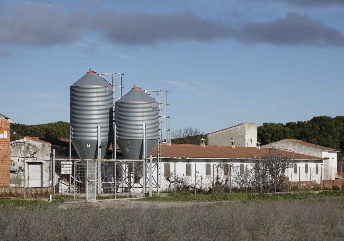 Instalaciones de la granja porcina abastecida de agua por los Bomberos de Peñafiel.