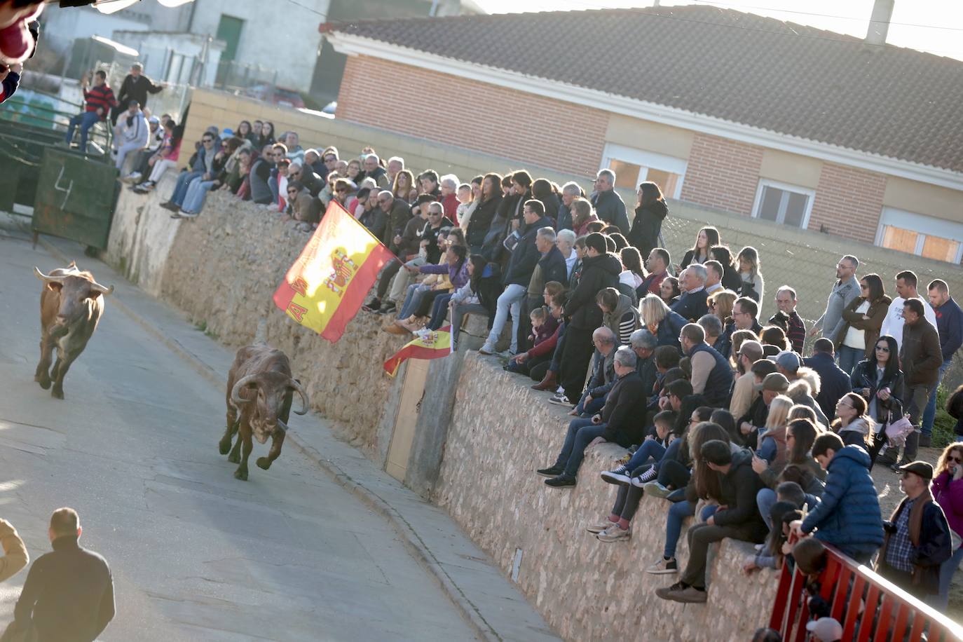 Castronuño celebra el Toro de San Blas