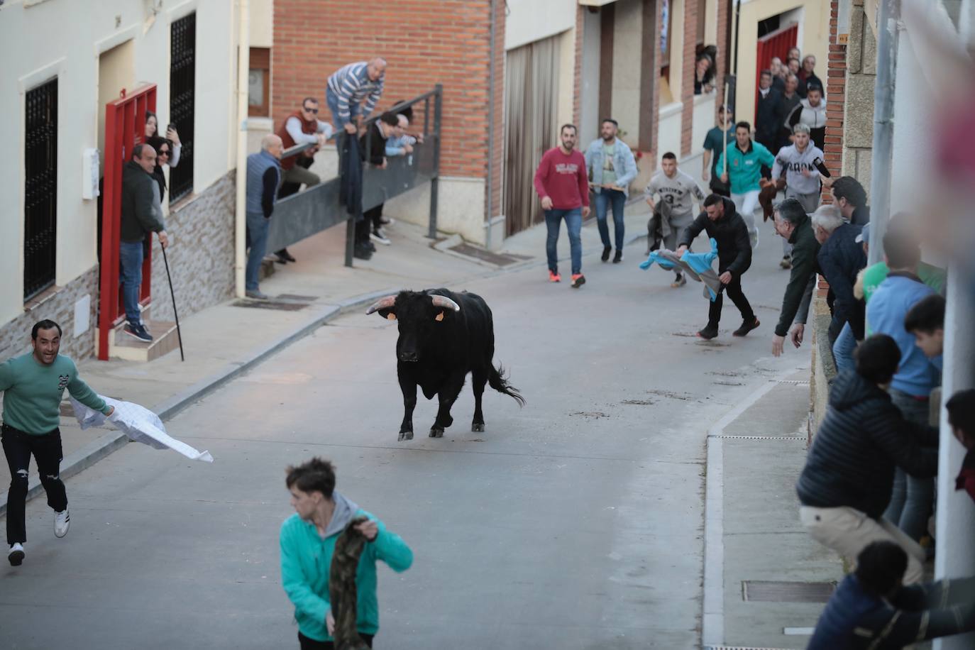 Castronuño celebra el Toro de San Blas