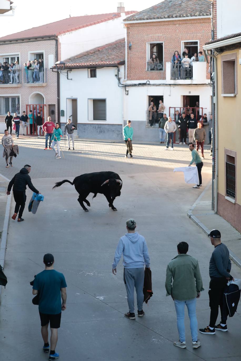 Castronuño celebra el Toro de San Blas