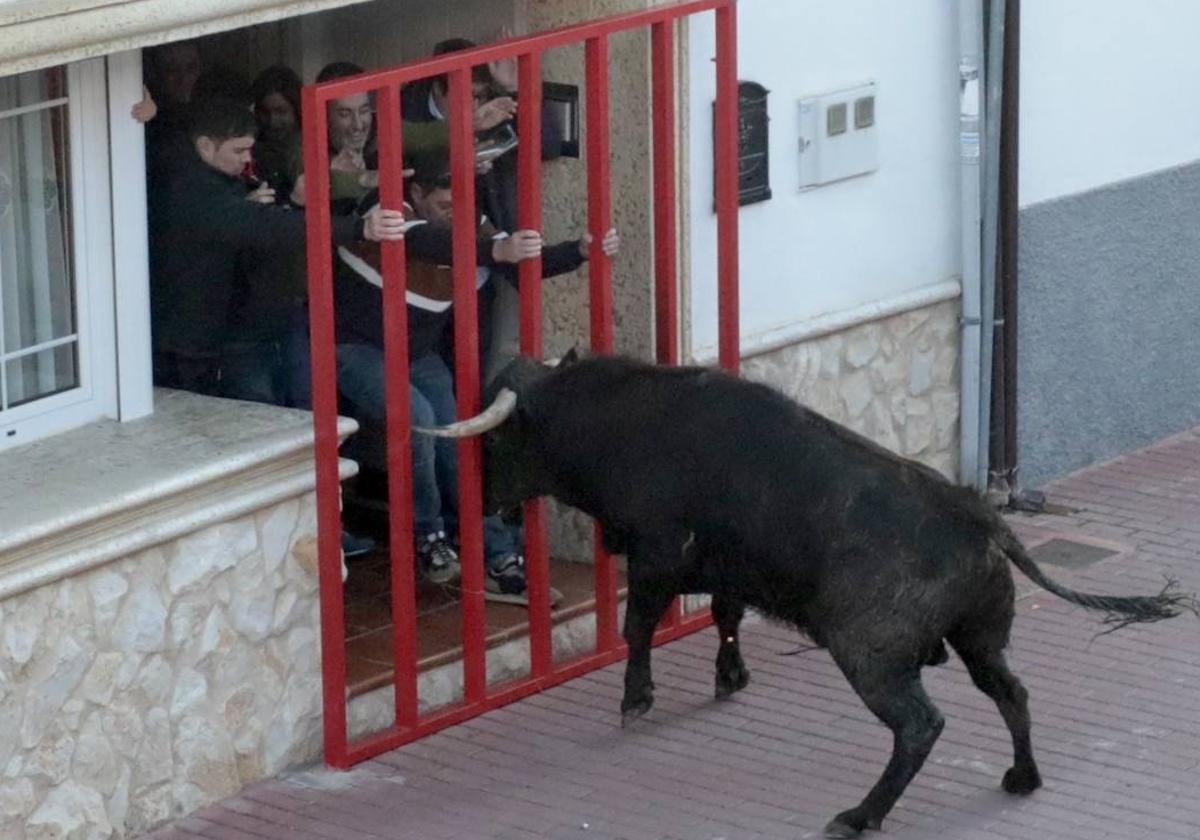 Castronuño celebra el Toro de San Blas