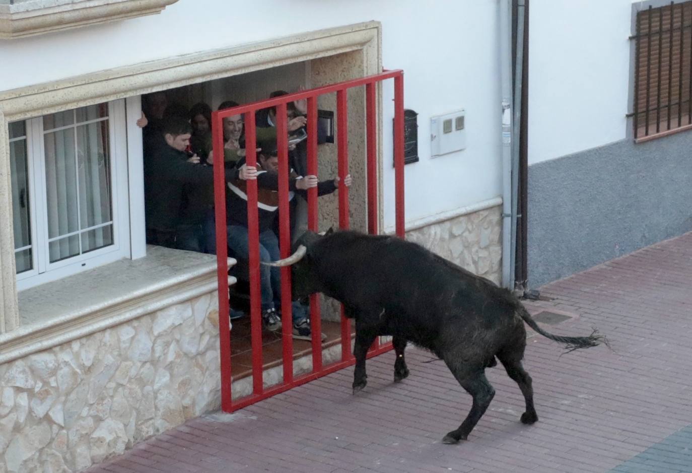 Castronuño celebra el Toro de San Blas