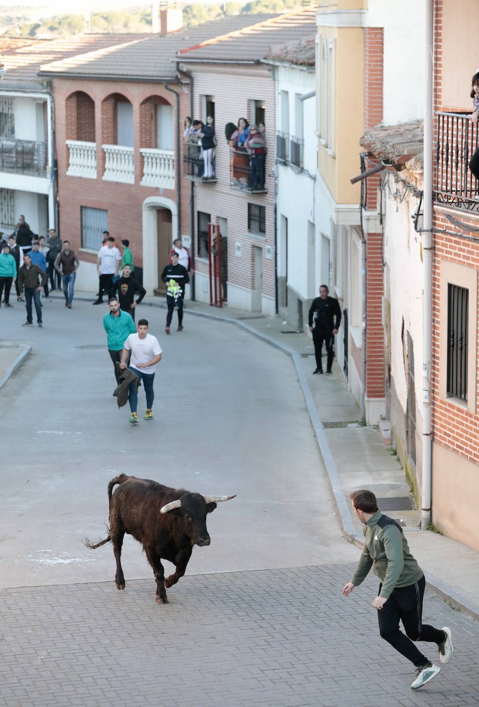 Castronuño celebra el Toro de San Blas