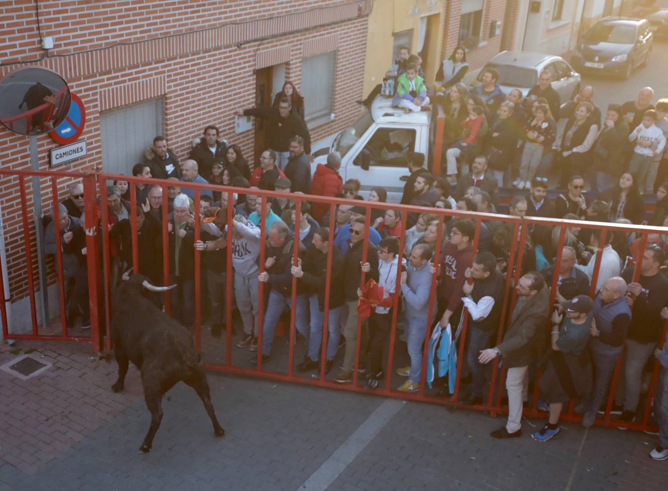 Castronuño celebra el Toro de San Blas