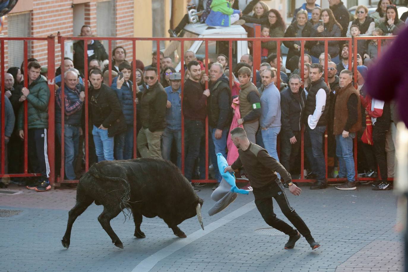 Castronuño celebra el Toro de San Blas