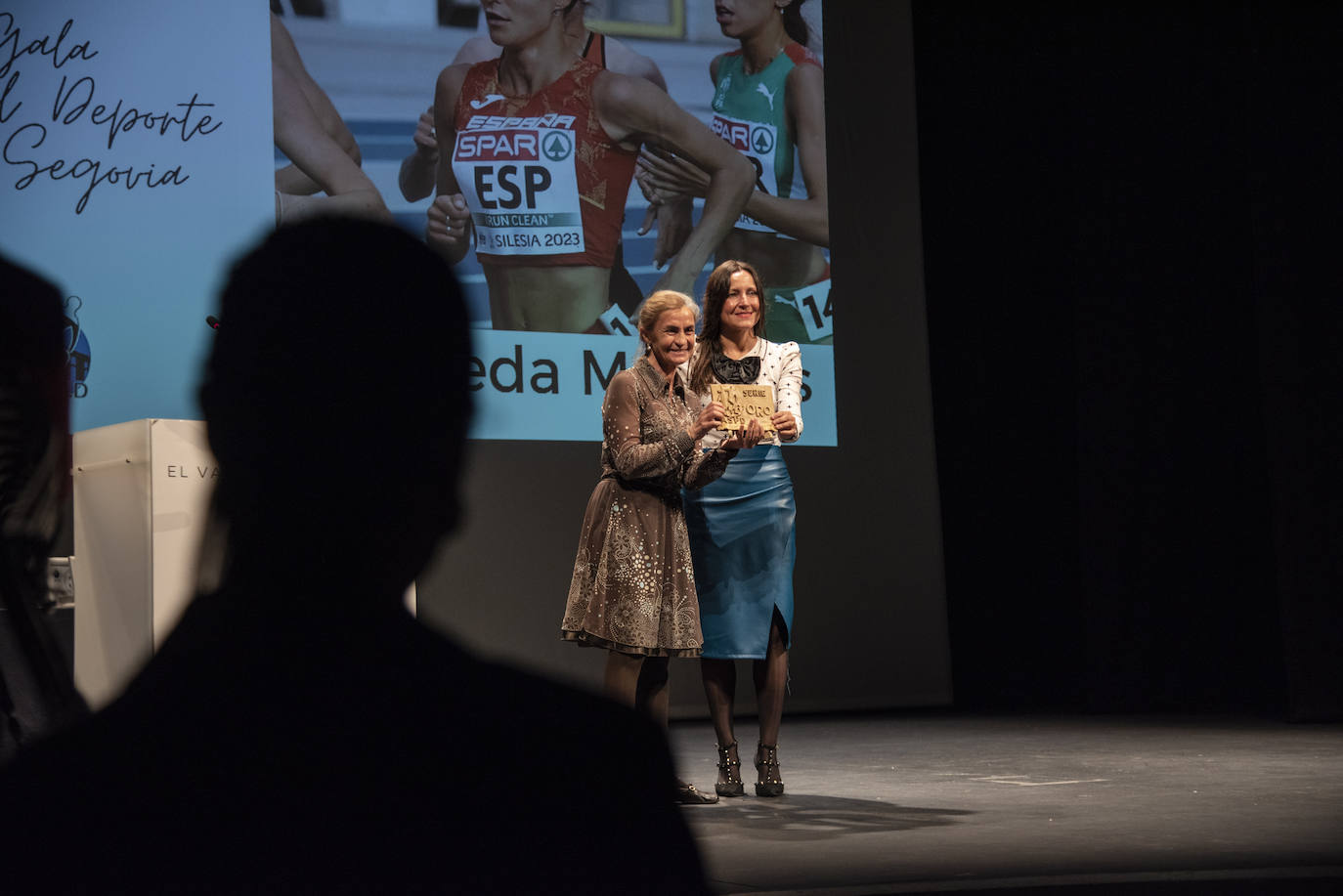 La Gala del Deporte de Segovia, en imágenes